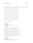 ANTIBODY MOLECULES WHICH BIND IL-17A AND IL-17F diagram and image