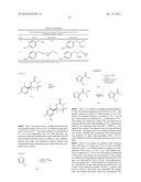 IMINOTHIADIAZINE DIOXIDE COMPOUNDS AS BACE INHIBITORS, COMPOSITIONS AND     THEIR USE diagram and image