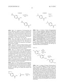 IMINOTHIADIAZINE DIOXIDE COMPOUNDS AS BACE INHIBITORS, COMPOSITIONS AND     THEIR USE diagram and image