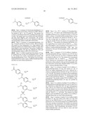 IMINOTHIADIAZINE DIOXIDE COMPOUNDS AS BACE INHIBITORS, COMPOSITIONS AND     THEIR USE diagram and image