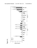 INHIBITION OF ENDOSOMAL TOLL-LIKE RECEPTOR ACTIVATION diagram and image