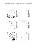 PROCESS FOR PRODUCING WATER-SOLUBLE HYALURONIC ACID MODIFICATION diagram and image