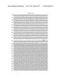 RECOMBINANT FELINE LEUKEMIA VIRUS VACCINE CONTAINING OPTIMIZED FELINE     LEUKEMIA VIRUS ENVELOPE GENE diagram and image