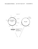 RECOMBINANT FELINE LEUKEMIA VIRUS VACCINE CONTAINING OPTIMIZED FELINE     LEUKEMIA VIRUS ENVELOPE GENE diagram and image