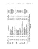 ANTIGEN COMPOSITIONS AND METHODS OF INHIBITING CAMPYLOBACTER JEJUNI     BACTERIAL INFECTION AND USES OF THE ANTIGEN COMPOSITIONS diagram and image