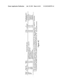 ANTIGEN COMPOSITIONS AND METHODS OF INHIBITING CAMPYLOBACTER JEJUNI     BACTERIAL INFECTION AND USES OF THE ANTIGEN COMPOSITIONS diagram and image