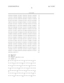 ANTIGEN COMPOSITIONS AND METHODS OF INHIBITING CAMPYLOBACTER JEJUNI     BACTERIAL INFECTION AND USES OF THE ANTIGEN COMPOSITIONS diagram and image