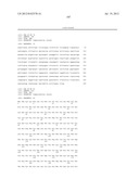 ANTIGEN COMPOSITIONS AND METHODS OF INHIBITING CAMPYLOBACTER JEJUNI     BACTERIAL INFECTION AND USES OF THE ANTIGEN COMPOSITIONS diagram and image