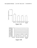 ANTIGEN COMPOSITIONS AND METHODS OF INHIBITING CAMPYLOBACTER JEJUNI     BACTERIAL INFECTION AND USES OF THE ANTIGEN COMPOSITIONS diagram and image