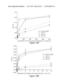 ANTIGEN COMPOSITIONS AND METHODS OF INHIBITING CAMPYLOBACTER JEJUNI     BACTERIAL INFECTION AND USES OF THE ANTIGEN COMPOSITIONS diagram and image