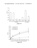 ANTIGEN COMPOSITIONS AND METHODS OF INHIBITING CAMPYLOBACTER JEJUNI     BACTERIAL INFECTION AND USES OF THE ANTIGEN COMPOSITIONS diagram and image