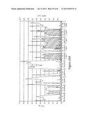 ANTIGEN COMPOSITIONS AND METHODS OF INHIBITING CAMPYLOBACTER JEJUNI     BACTERIAL INFECTION AND USES OF THE ANTIGEN COMPOSITIONS diagram and image