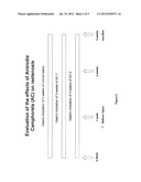 USE OF ANTRODIA CAMPHORATA FOR TREATING GOUT diagram and image