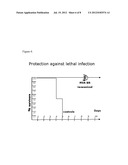 MODIFIED VACCINIA VIRUS ANKARA FOR THE VACCNATION OF NEONATES diagram and image