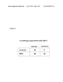 MODIFIED VACCINIA VIRUS ANKARA FOR THE VACCNATION OF NEONATES diagram and image