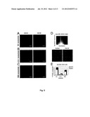 EXOSOME BASED TREATMENT OF CANCER diagram and image