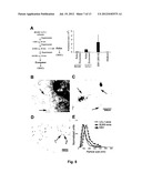 EXOSOME BASED TREATMENT OF CANCER diagram and image