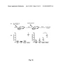 EXOSOME BASED TREATMENT OF CANCER diagram and image