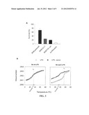 MODIFIED GRAM-NEGATIVE BACTERIA FOR USE AS VACCINES diagram and image