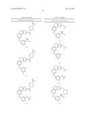 COMPOSITIONS USEFUL AS INHIBITORS OF PROTEIN KINASES diagram and image