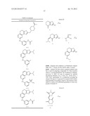 COMPOSITIONS USEFUL AS INHIBITORS OF PROTEIN KINASES diagram and image