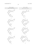 COMPOSITIONS USEFUL AS INHIBITORS OF PROTEIN KINASES diagram and image