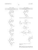 COMPOSITIONS USEFUL AS INHIBITORS OF PROTEIN KINASES diagram and image