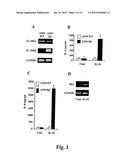 Compositions And Methods For Regulation Of Tumor Necrosis Factor-Alpha diagram and image