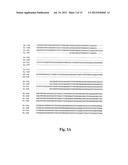 Compositions And Methods For Regulation Of Tumor Necrosis Factor-Alpha diagram and image