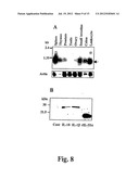 Compositions And Methods For Regulation Of Tumor Necrosis Factor-Alpha diagram and image