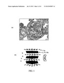 ELECTRODE MATERIALS FOR SODIUM BATTERIES diagram and image