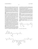 Compounds and methods for detection of enzymes that remove formyl,     succinyl, methyl succinyl or myristoyl groups from epsilon-amino lysine     moieties diagram and image