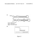 Design and construction of Bifunctional Short Hairpin RNA diagram and image