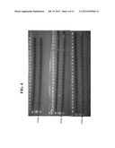 METHOD FOR IDENTIFYING E. COLI M-17 diagram and image