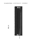 METHOD FOR IDENTIFYING E. COLI M-17 diagram and image