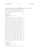 METHOD FOR IDENTIFYING E. COLI M-17 diagram and image