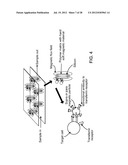 DETERMINATION OF FETAL ANEUPLOIDY BY QUANTIFICATION OF GENOMIC DNA FROM     MIXED SAMPLES diagram and image