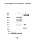 DETERMINATION OF FETAL ANEUPLOIDY BY QUANTIFICATION OF GENOMIC DNA FROM     MIXED SAMPLES diagram and image