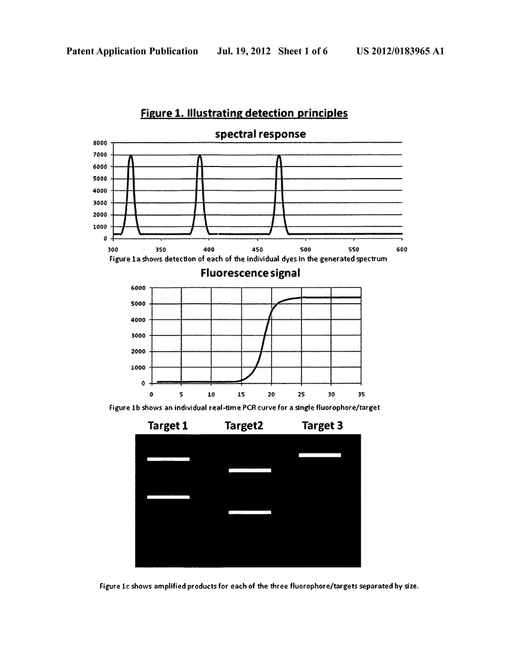 NUCLEIC ACID DETECTION - diagram, schematic, and image 02