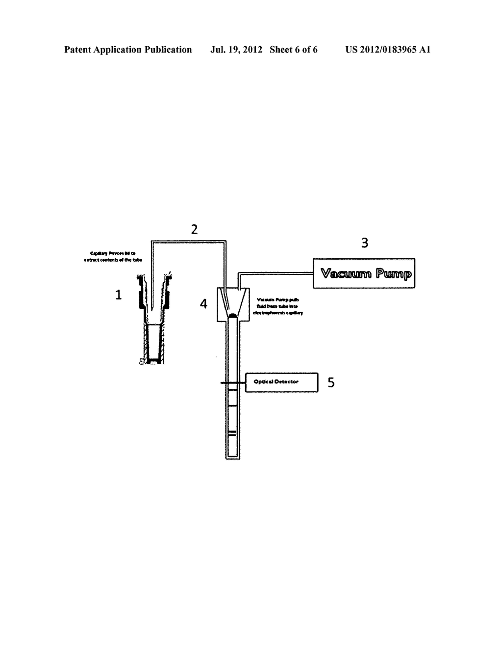 NUCLEIC ACID DETECTION - diagram, schematic, and image 07