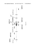 DETECTION AND QUANTITATION OF INSULIN RECEPTOR ALPHA ISOFORM OR BETA     ISOFORM diagram and image