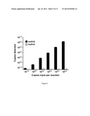 DETECTION AND QUANTITATION OF INSULIN RECEPTOR ALPHA ISOFORM OR BETA     ISOFORM diagram and image