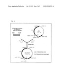 Modified Promoter diagram and image