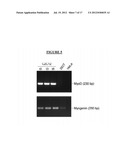 Methods and Compositions For Reprogramming Cells diagram and image