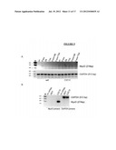 Methods and Compositions For Reprogramming Cells diagram and image