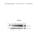 Methods and Compositions For Reprogramming Cells diagram and image