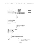 Parallel Preparation of High Fidelity Probes in an Array Format diagram and image