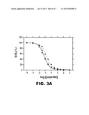 INSULIN ANALOGUES OF ENHANCED RECEPTOR-BINDING SPECIFICITY diagram and image