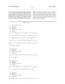 INSULIN ANALOGUES OF ENHANCED RECEPTOR-BINDING SPECIFICITY diagram and image