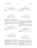 [1,2,4]TRIAZOLO [1,5-C]PYRIMIDINE DERIVATIVES AS HSP90 MODULATORS diagram and image